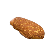 Tijger wit